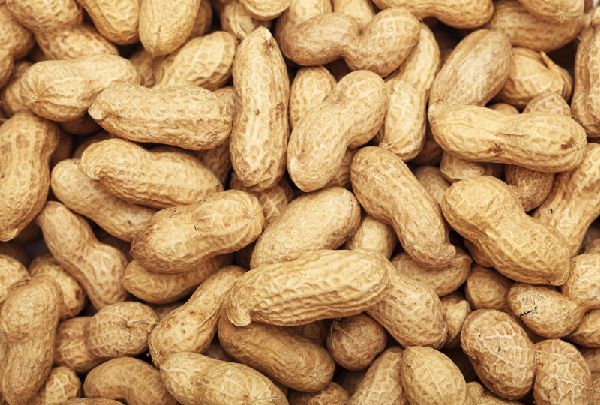 Nuts